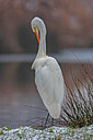 BUITEN BEELD Foto: 324417