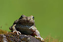 BUITEN BEELD Foto: 324441