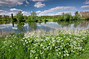 BUITEN BEELD Foto: 324485