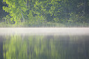 BUITEN BEELD Foto: 324531