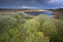 BUITEN BEELD Foto: 324572
