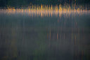 BUITEN BEELD Foto: 324627