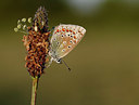 BUITEN BEELD Foto: 324692