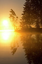 BUITEN BEELD Foto: 324712