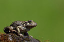 BUITEN BEELD Foto: 324721