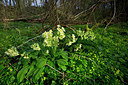 BUITEN BEELD Foto: 324733