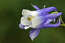 BUITEN BEELD Foto: 324835