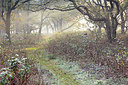 BUITEN BEELD Foto: 324855