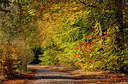 BUITEN BEELD Foto: 324899
