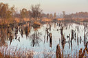 BUITEN BEELD Foto: 324905