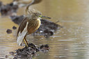 BUITEN BEELD Foto: 324942