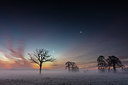 BUITEN BEELD Foto: 324949
