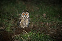 BUITEN BEELD Foto: 325004