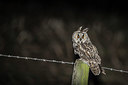 BUITEN BEELD Foto: 325006