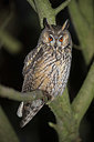 BUITEN BEELD Foto: 325007