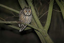BUITEN BEELD Foto: 325008