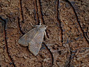 BUITEN BEELD Foto: 325045