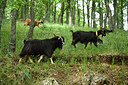BUITEN BEELD Foto: 325130