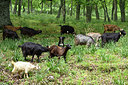 BUITEN BEELD Foto: 325133