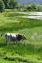 BUITEN BEELD Foto: 325143