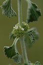 BUITEN BEELD Foto: 325151