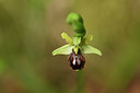 BUITEN BEELD Foto: 325156