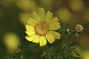 BUITEN BEELD Foto: 325160