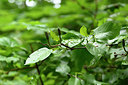 BUITEN BEELD Foto: 325161