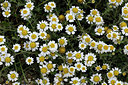 BUITEN BEELD Foto: 325163