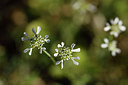 BUITEN BEELD Foto: 325171