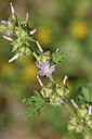BUITEN BEELD Foto: 325179