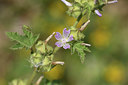 BUITEN BEELD Foto: 325180