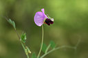 BUITEN BEELD Foto: 325192