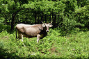 BUITEN BEELD Foto: 325193