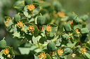 BUITEN BEELD Foto: 325200