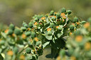 BUITEN BEELD Foto: 325201