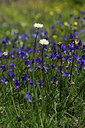 BUITEN BEELD Foto: 325202
