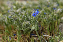 BUITEN BEELD Foto: 325207