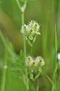 BUITEN BEELD Foto: 325219