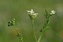 BUITEN BEELD Foto: 325230