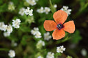 BUITEN BEELD Foto: 325231