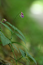 BUITEN BEELD Foto: 325239
