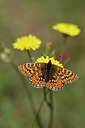 BUITEN BEELD Foto: 325243