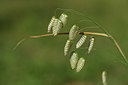 BUITEN BEELD Foto: 325290