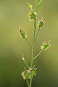 BUITEN BEELD Foto: 325294