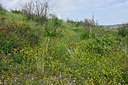 BUITEN BEELD Foto: 325301