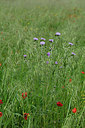 BUITEN BEELD Foto: 325309