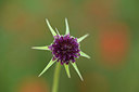 BUITEN BEELD Foto: 325320