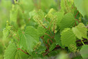 BUITEN BEELD Foto: 325323