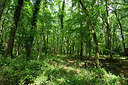 BUITEN BEELD Foto: 325329